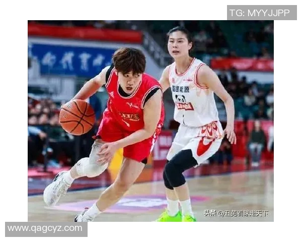 都江堰篮球明星赛事盛典即将开启精彩对决与青春激情的碰撞